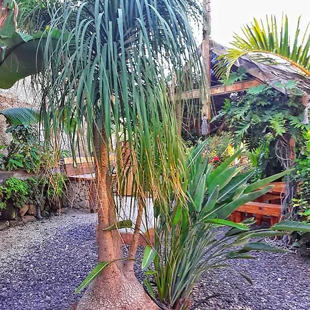 Holiday home Casa Sabina - Perenquen. *