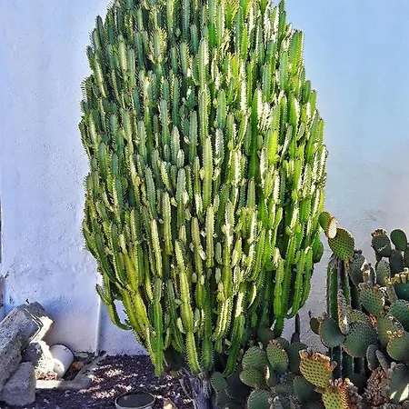 Casa Sabina - Perenquen. *